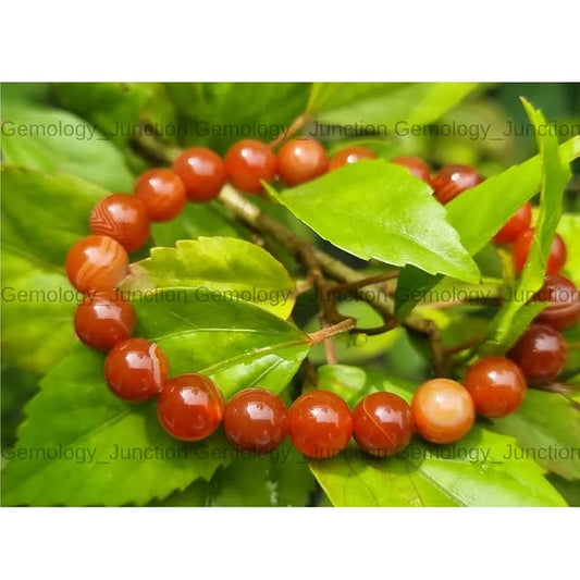Carnelian Bracelet